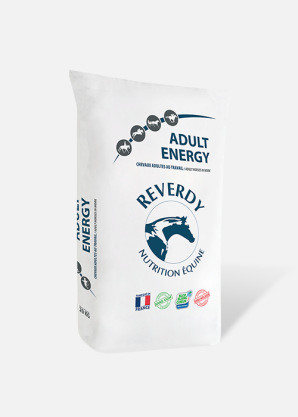 Reverdy Adult - Granulés pour Chevaux Adultes à l'Entretien ou au Travail